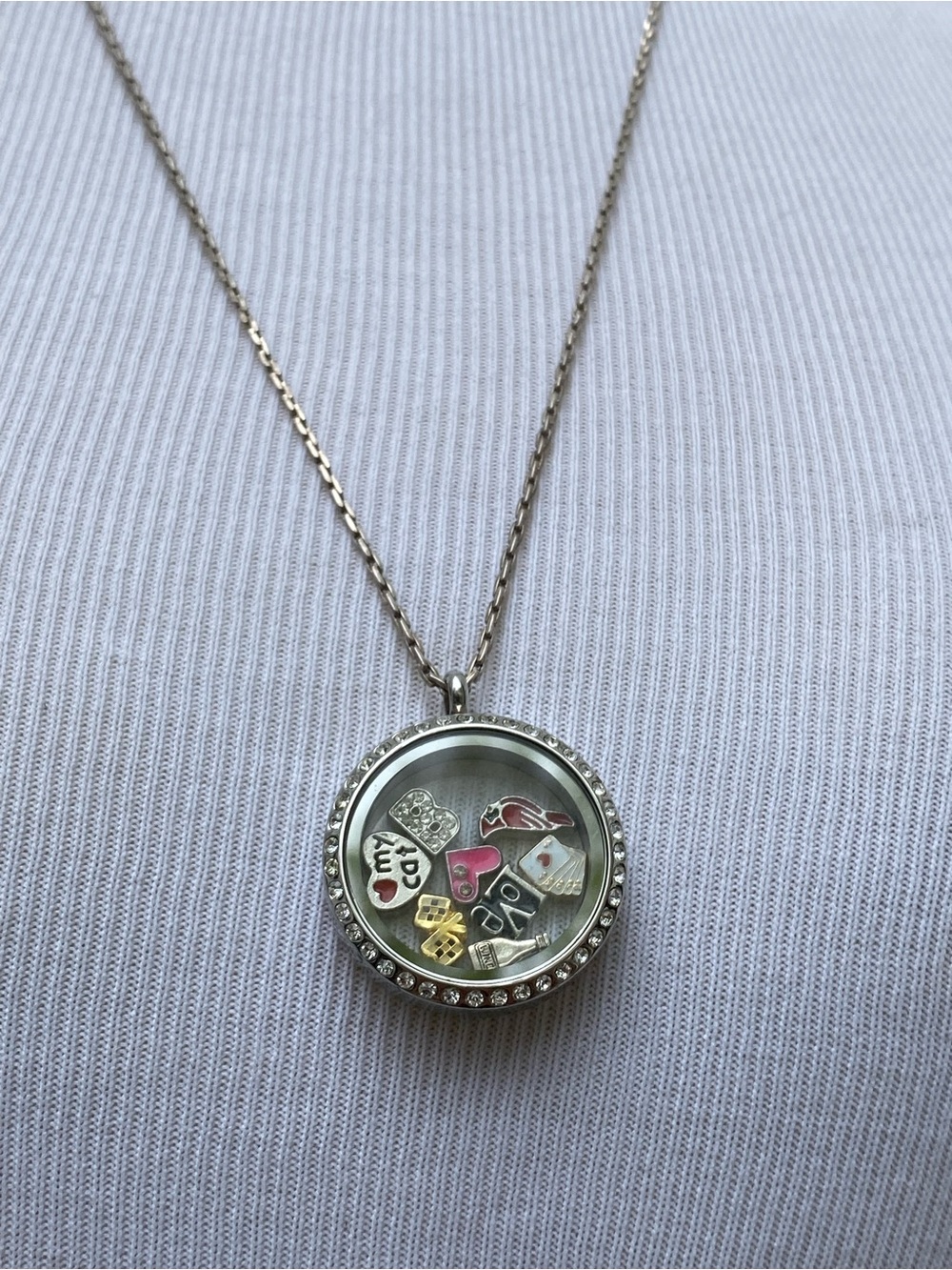 Floating Charm Silver Locket Necklace Cardinal Racing Flag Wine Cat Cards “B”